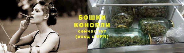 гидра Верхний Тагил