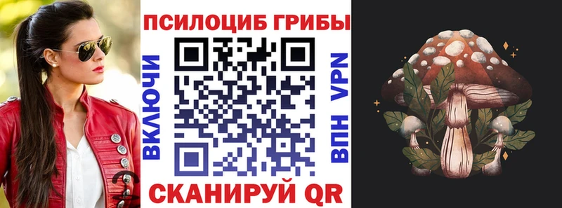 OMG как войти  Киренск  Галлюциногенные грибы ЛСД 